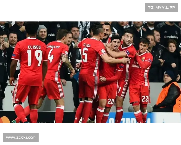 拜仁球迷怎么看下一场对阵汉堡的比赛胜负预测和赛果分析