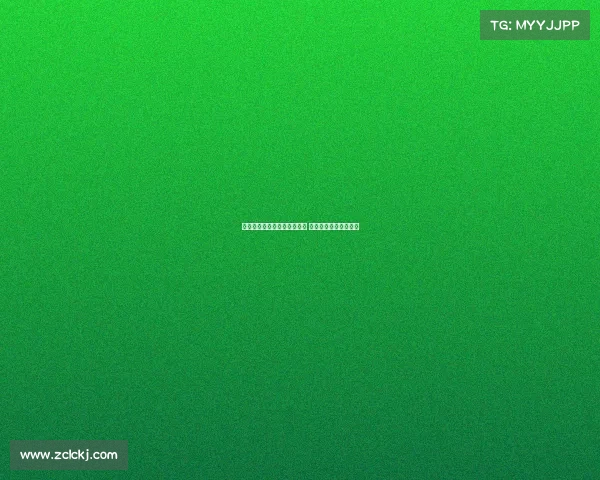 汉堡有望租借签下武什科维奇 热那亚也在关注此球员